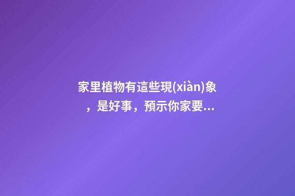 家里植物有這些現(xiàn)象，是好事，預示你家要發(fā)大財了！
